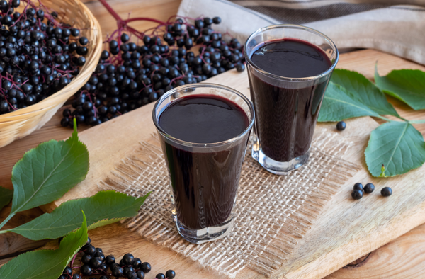 Tiny, but Mighty: Elderberry Matcha